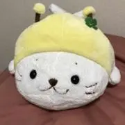 さわちの画像