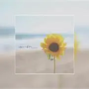 meari