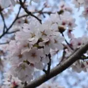 めるの画像