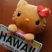 ゆっちの画像