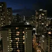 こうじの画像