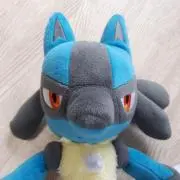 よっしーの画像