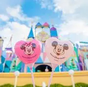 mie※プロフィールをお読みください。の画像