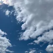 necoヤンの画像