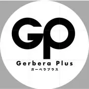 ガーベラプラス　東京住吉店　販売店の画像