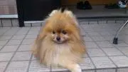たかちゃん.の画像