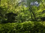 R※プロフの一読をよろしくお願い致しますの画像