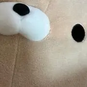 littleの画像
