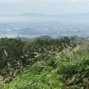 ベロの画像