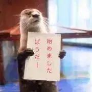 雑貨屋さん