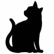 ミントの画像