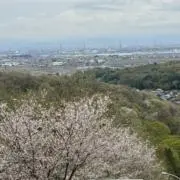 みかんの画像