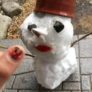トトロの画像