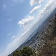 まろんの画像