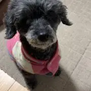 りっちゃん