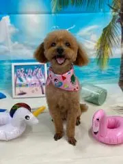 mieの画像