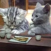 みき