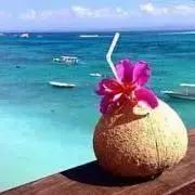 Leilaniの画像
