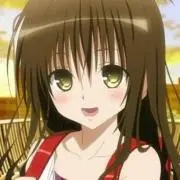 みかんの画像