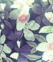 コロリンの画像