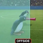 むらちゃむ