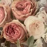 断捨離ぱんだの画像