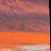 ひつじの画像