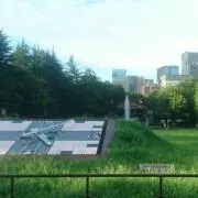 まどやん