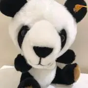 ミス パンダ