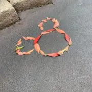 nicの画像