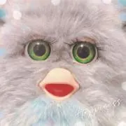 きゃりおかの画像