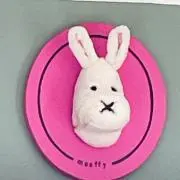 ゆーまの画像
