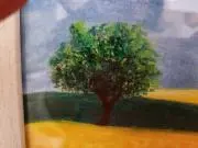あおたんたん【プロフ必読即日発送可】の画像