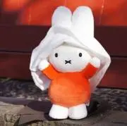 ぴの画像
