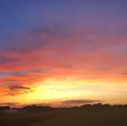 Istの画像