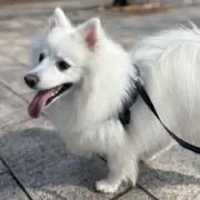 yuchiの画像