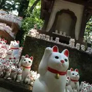 まゆか/24時間以内発送の画像