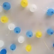 mugiの画像