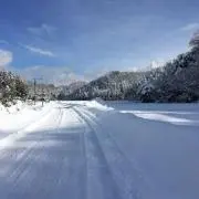 てるの画像