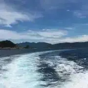 いちばん星の画像