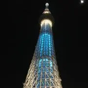 ウラシ
