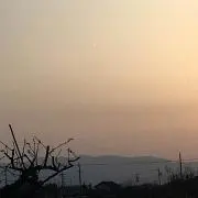 よもぎ❤︎