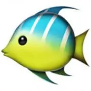 魚