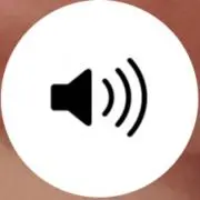 堅気。