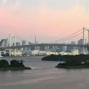 はるの画像