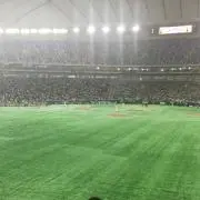 やまだやまの画像