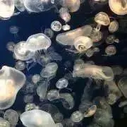 いぶき59＊断捨離中の画像