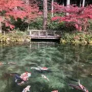 yo（プロフ必読）の画像