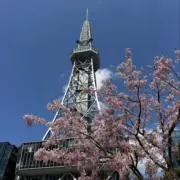 まるちゃんの画像