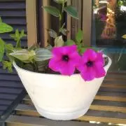 リー